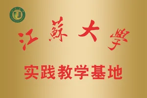 江大实践